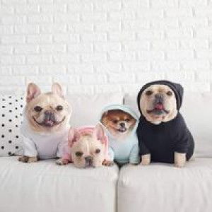 เมา ยีนส์ profile icon