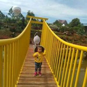 Irma Aulia profile icon