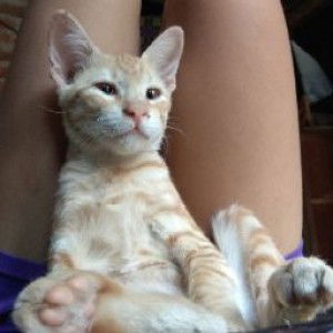 Miatun Sadiyah profile icon