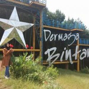 Susi Sulastri profile icon