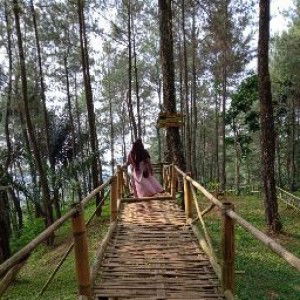 Aiwita Wasilah profile icon