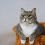 Susanti Rahman profile icon