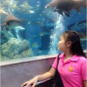 Koi Suphattra profile icon