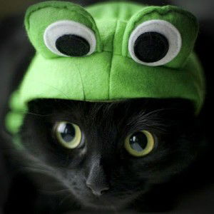 Nada Azmin profile icon