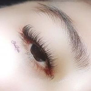 SheLash Extension profile icon