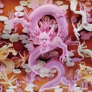 Hồng Giang profile icon