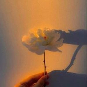 Yaowalak Vungsa profile icon