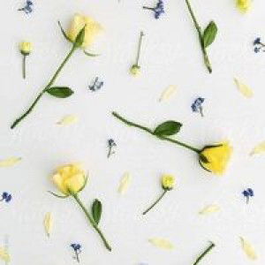 Humairah Humairah profile icon