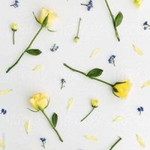 Humairah Humairah profile icon