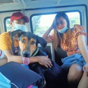 Jhynn Delle Fabre profile icon