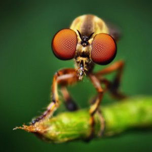 Ida Coly profile icon