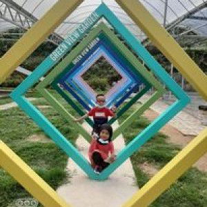 Suhaida profile icon