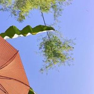 sheirelyn jaramillo profile icon