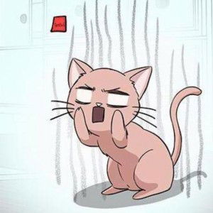 คิตตี้ เป็นแมว profile icon