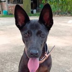 Elora Nickiello profile icon