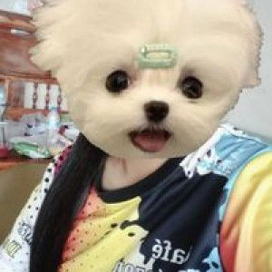 ป๊อบบ' บ. profile icon