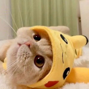 Putry Agustina profile icon