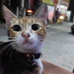 Khairunnisa profile icon