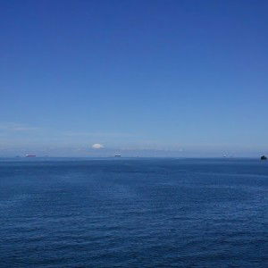 lourdes wong profile icon