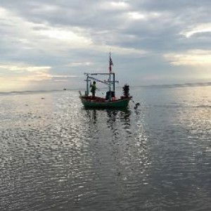 Apnk nit profile icon