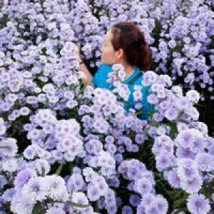 ยิ่งใกล้ ยิ่งไม่รู้จัก profile icon