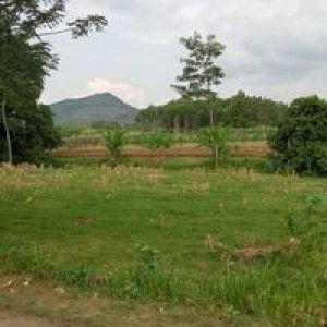 Fitrii Pessek profile icon