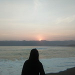 sakura ni profile icon