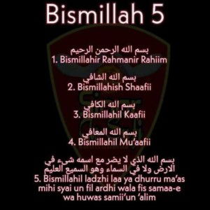 Nur akmar nabilah bt shamsuddin shah profile icon