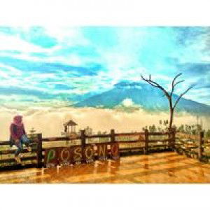 Meizaa Alvi profile icon