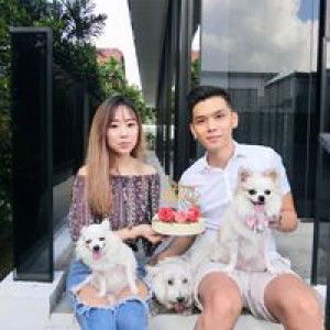 Clarence Tan profile icon