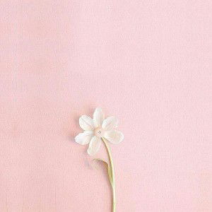 Peena official profile icon