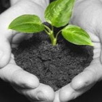 vân trần thị ánh profile icon