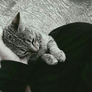 Dina Hakiki profile icon