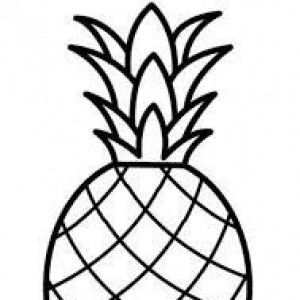 Nanang Sinergy profile icon