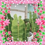 Jackie Matin Escarez profile icon