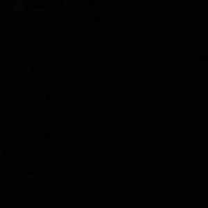 Fah&#x27;z Pimjan profile icon