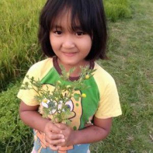 จีราวรรณ ประกิ่ง profile icon