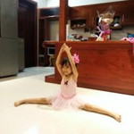 Nguyễn Phương Vy profile icon