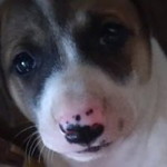 Kwin Palagi profile icon