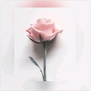 nia munawaroh profile icon