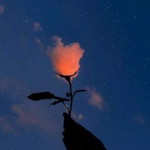 nur syahirah profile icon