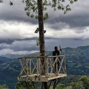 Lina Rotimin profile icon