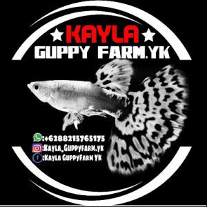 Kayla_GuppyFarmYK profile icon