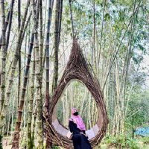 Nur Amila Husnaa II profile icon