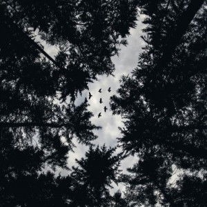 Yuyun Yuniawati profile icon