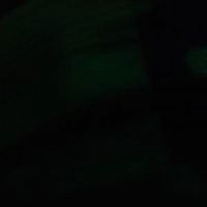 Nina Noviyanti profile icon