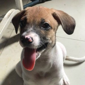 Sella Airen profile icon