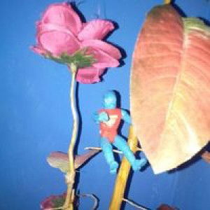 Irul Fahmi profile icon