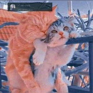 Khoirun Ni'mah profile icon