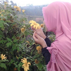 Julinda Windi Pamungkas profile icon